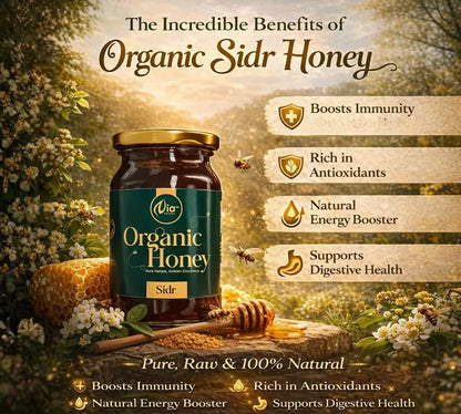 https://cdn.shopify.com/s/files/1/1857/6931/files/62-69b25a612d8e8.webp?v=1778507029