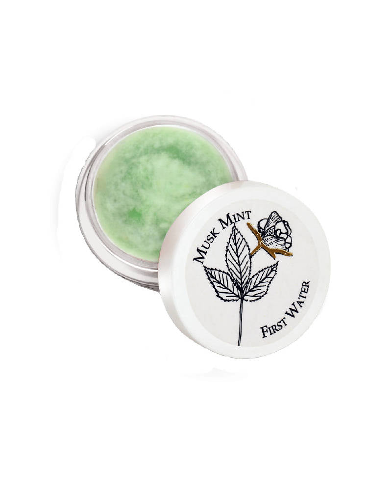 https://cdn.shopify.com/s/files/1/1857/6931/products/625EEoCzQn.jpg?v=1616725888