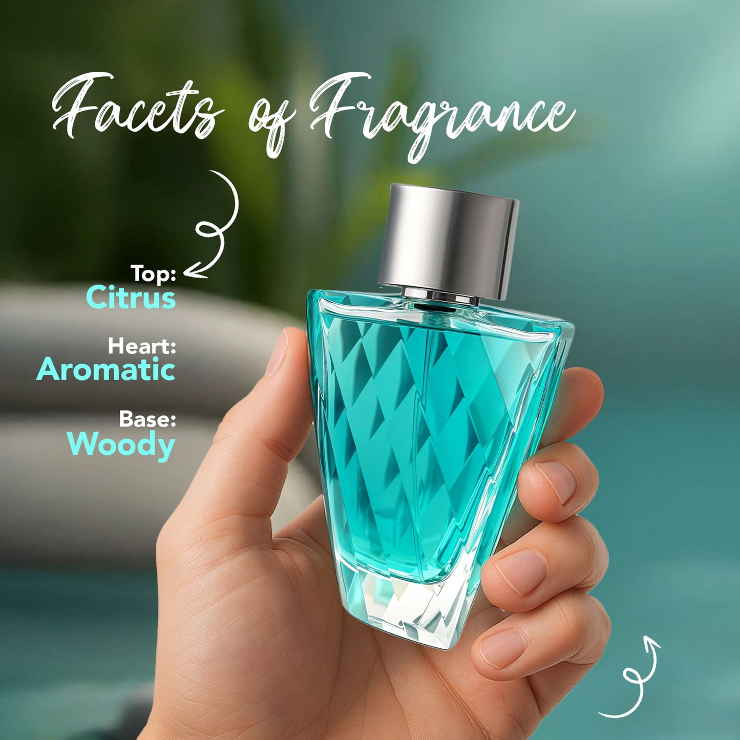 https://cdn.shopify.com/s/files/1/1857/6931/files/62d03b36293708010547_4.jpg?v=1779877776