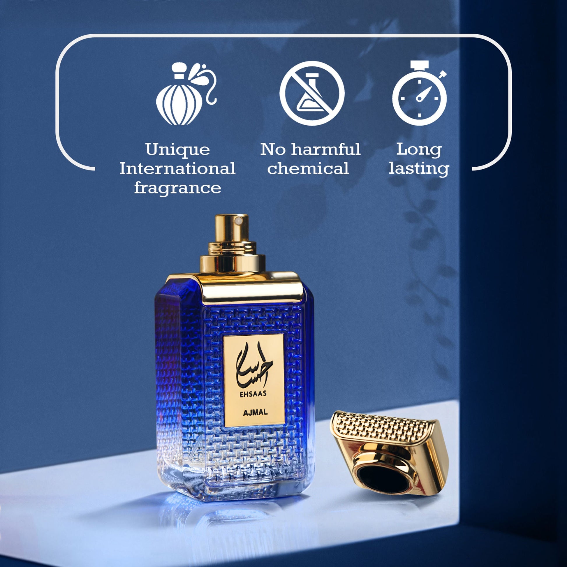 https://cdn.shopify.com/s/files/1/1857/6931/files/62d03b38906066311383_4.jpg?v=1779877717