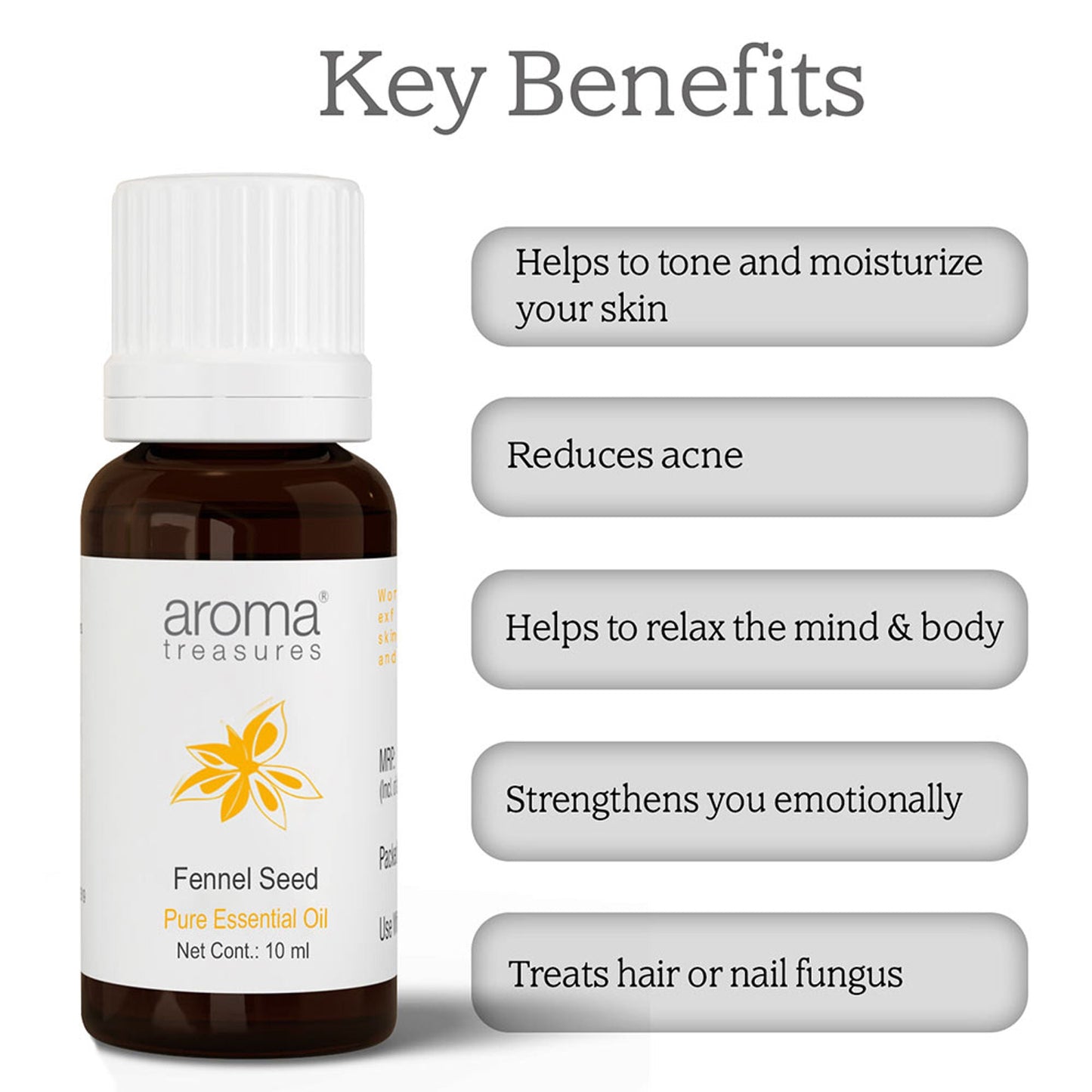 https://cdn.shopify.com/s/files/1/1857/6931/files/63740fbnyaromatre066_3.jpg?v=1770104478