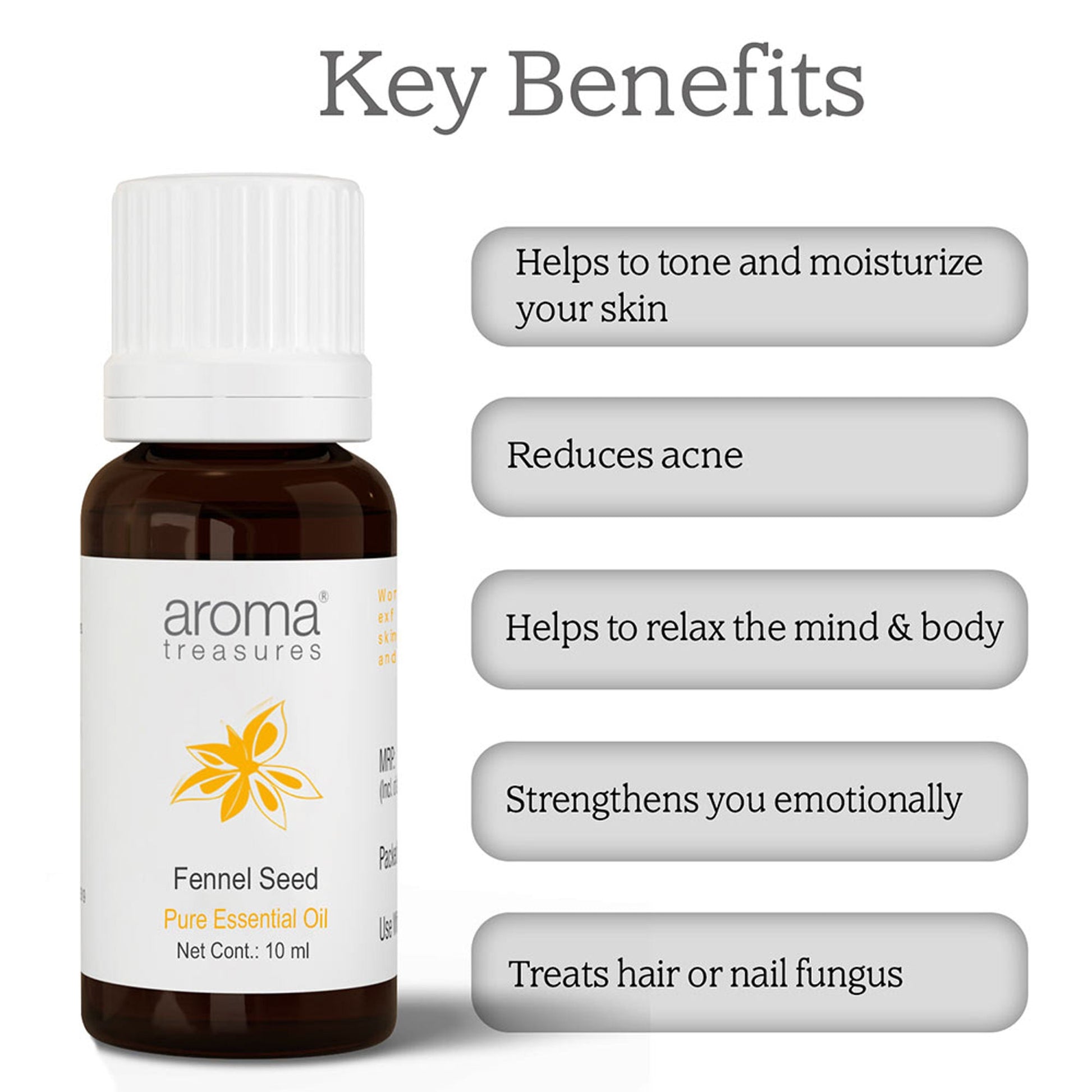 https://cdn.shopify.com/s/files/1/1857/6931/files/63740fbnyaromatre066_3.jpg?v=1770104478