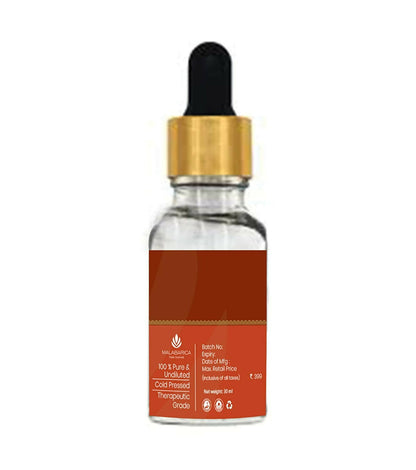 https://cdn.shopify.com/s/files/1/1857/6931/products/64DVp222sG.jpg?v=1667644463
