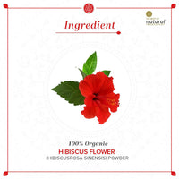 https://cdn.shopify.com/s/files/1/1857/6931/products/64W7E33Vpi.jpg?v=1641974872