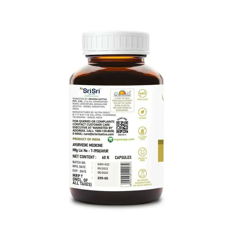 https://cdn.shopify.com/s/files/1/1857/6931/products/64qyqlfVTK.jpg?v=1665032913