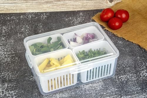 Image 7 of HomeWiz Fridge Storage Containers 2000ml 4-Grid