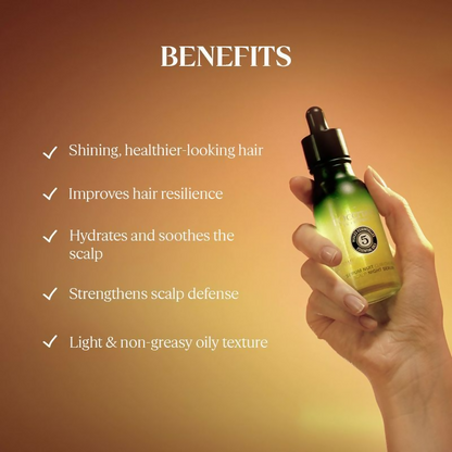 https://cdn.shopify.com/s/files/1/1857/6931/files/65GFb0mA2c.png?v=1727091082