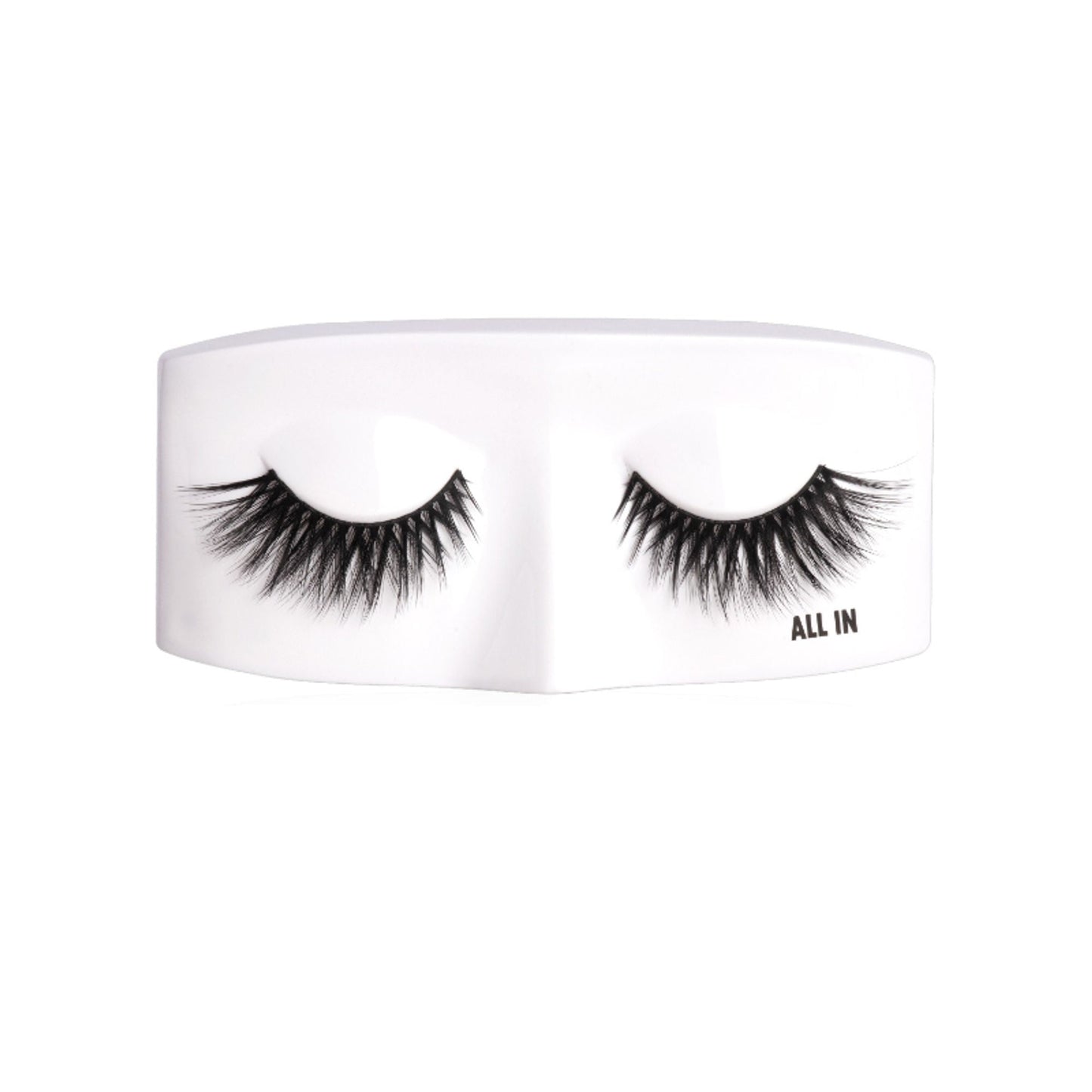 https://cdn.shopify.com/s/files/1/1857/6931/files/6646321Paccombo13_3.jpg?v=1768389223
