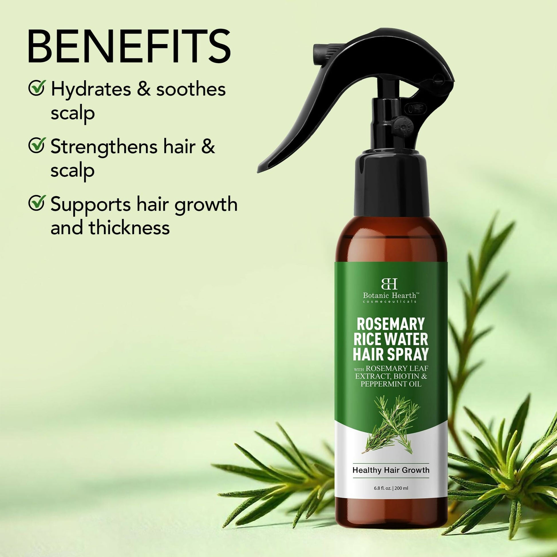 https://cdn.shopify.com/s/files/1/1857/6931/files/66AwAFOFbf.jpg?v=1727762663