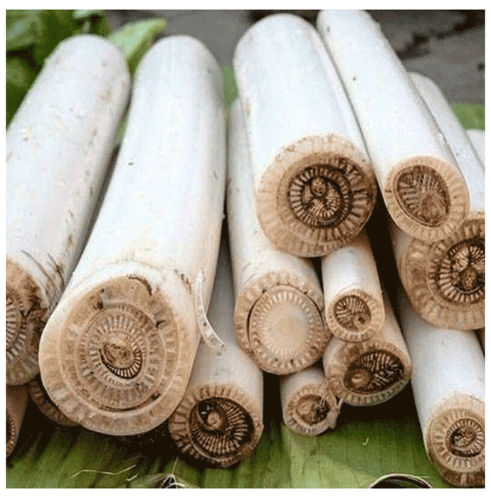https://cdn.shopify.com/s/files/1/1857/6931/files/672733ad64794184ab6089943e4bfa8c.png?v=1763541603