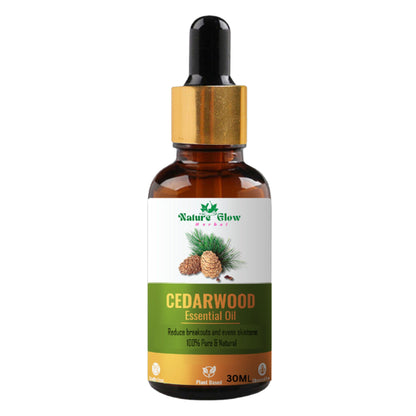 https://cdn.shopify.com/s/files/1/1857/6931/files/67622b98906143106963.jpg?v=1770707669