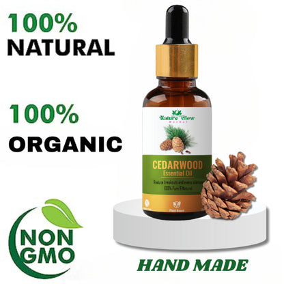 https://cdn.shopify.com/s/files/1/1857/6931/files/67622b98906143106963_9.jpg?v=1770707668