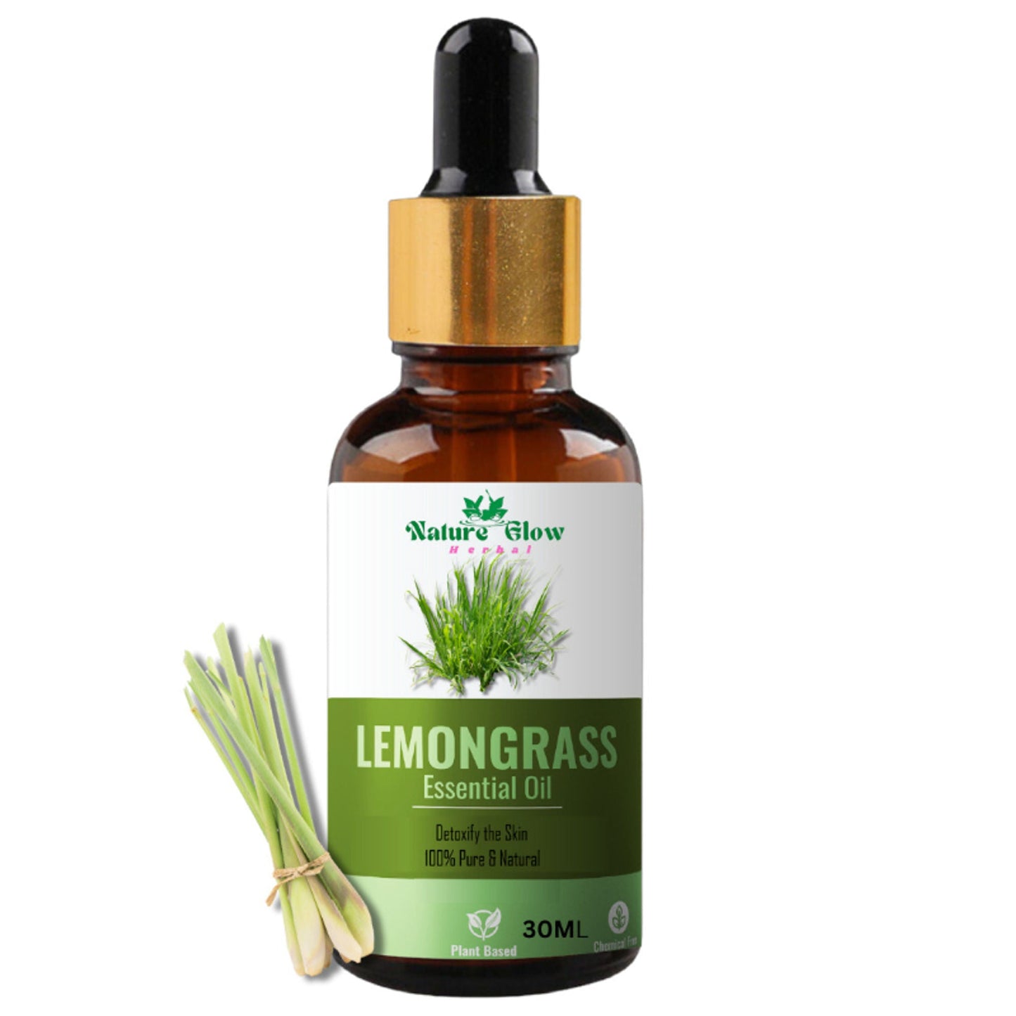https://cdn.shopify.com/s/files/1/1857/6931/files/67622b98906143107007_1.jpg?v=1770707565