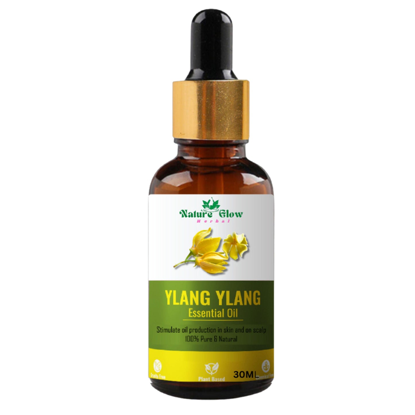 https://cdn.shopify.com/s/files/1/1857/6931/files/67622b98906143107083.jpg?v=1770707329