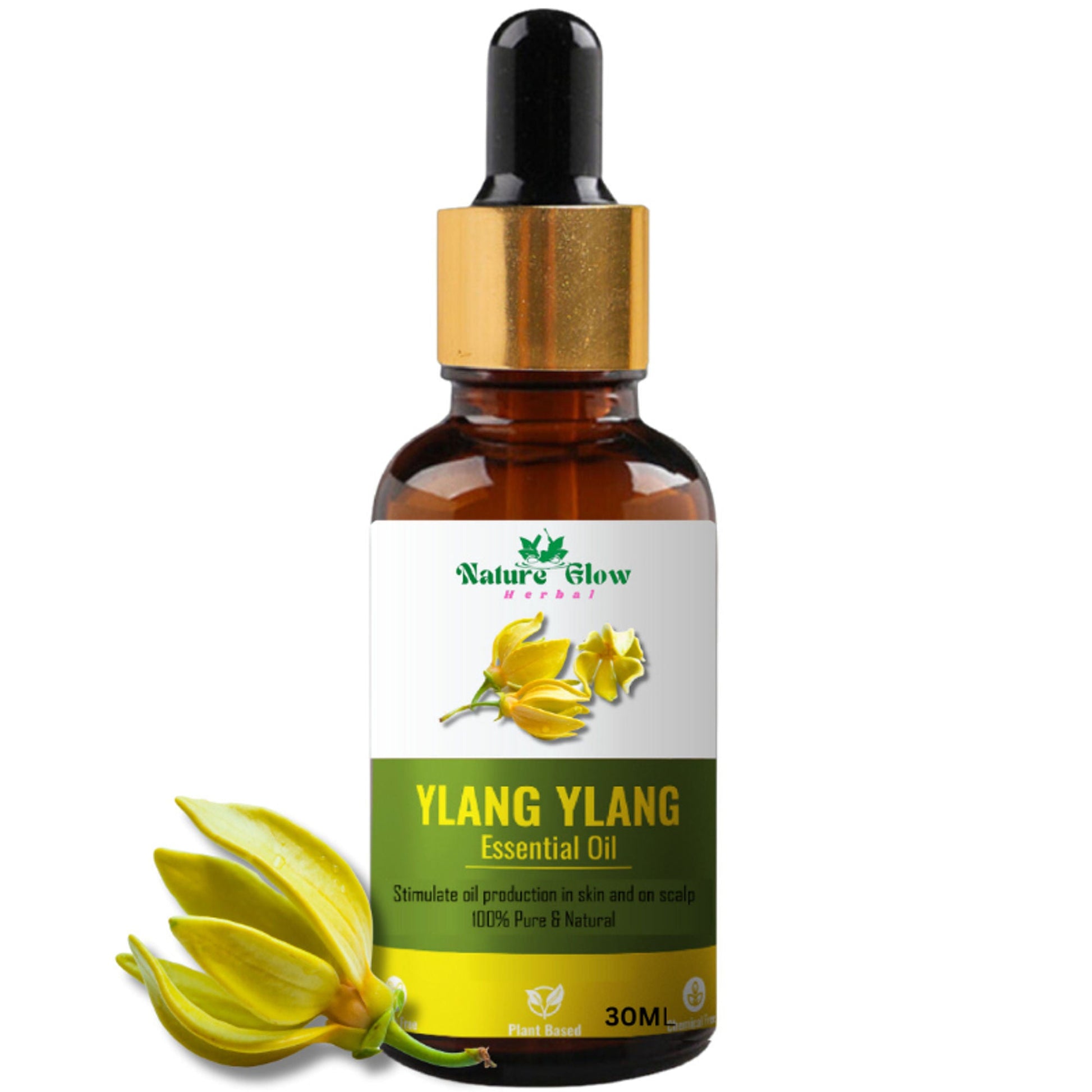 https://cdn.shopify.com/s/files/1/1857/6931/files/67622b98906143107083_1.jpg?v=1770707329