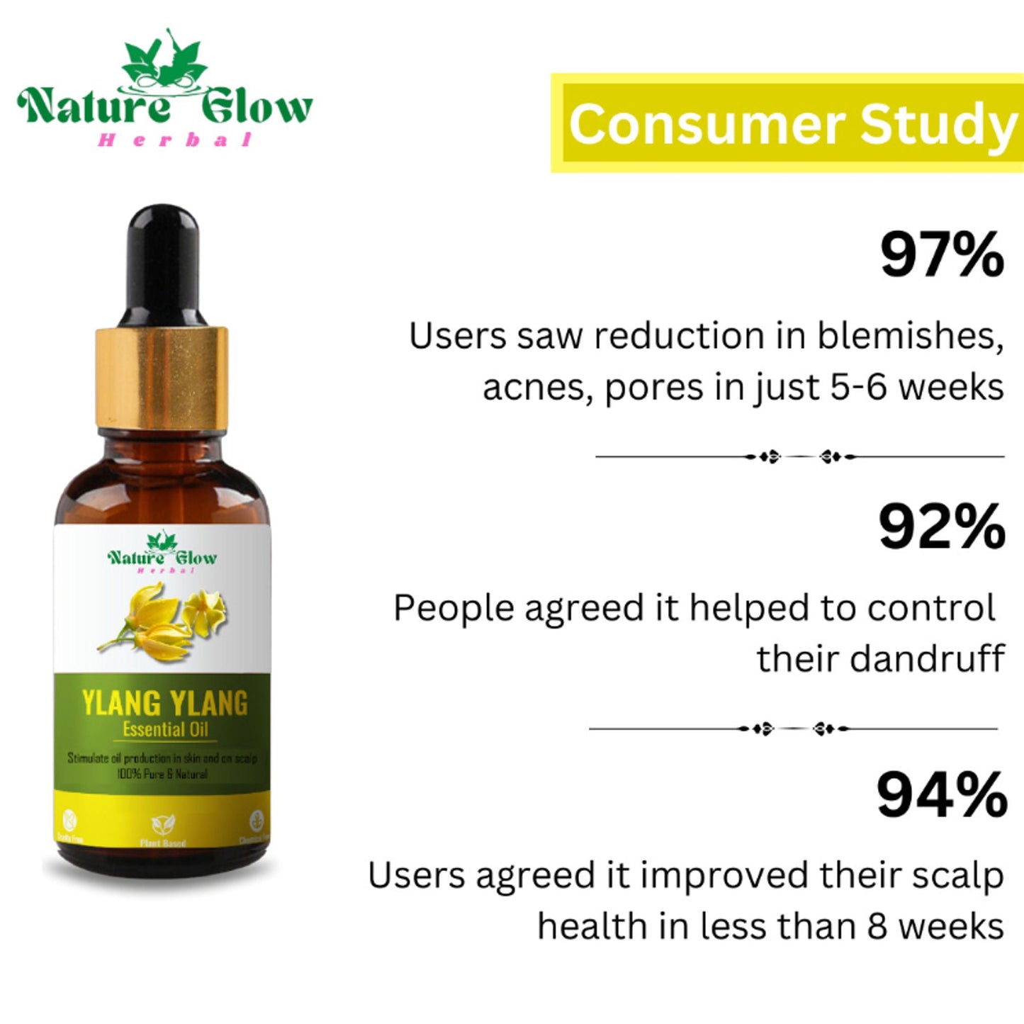 https://cdn.shopify.com/s/files/1/1857/6931/files/67622b98906143107083_8.jpg?v=1770707329