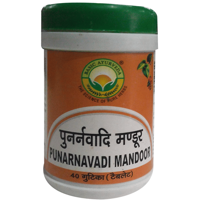 Image 1 of 40 tabs for the product Basic Ayurveda Punarnavadi Mandoor Tablets