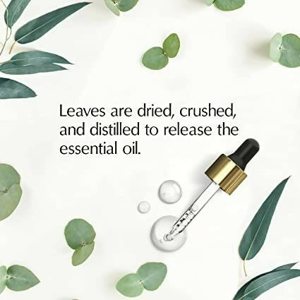 https://cdn.shopify.com/s/files/1/1857/6931/products/6966rx4aPp.jpg?v=1662111604
