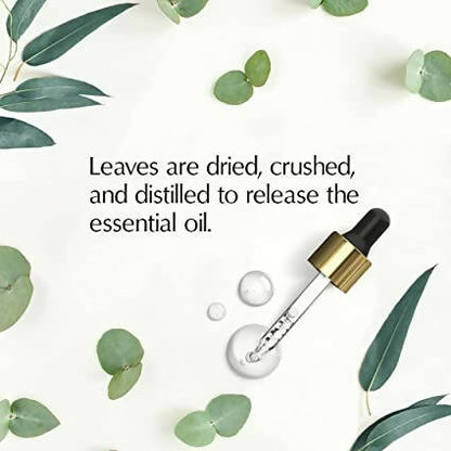 https://cdn.shopify.com/s/files/1/1857/6931/products/6966rx4aPp.jpg?v=1662111604