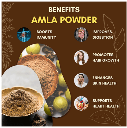 https://cdn.shopify.com/s/files/1/1857/6931/files/69a7f0847b8d4a8d84386a1c9dfd45ed.png?v=1765799957
