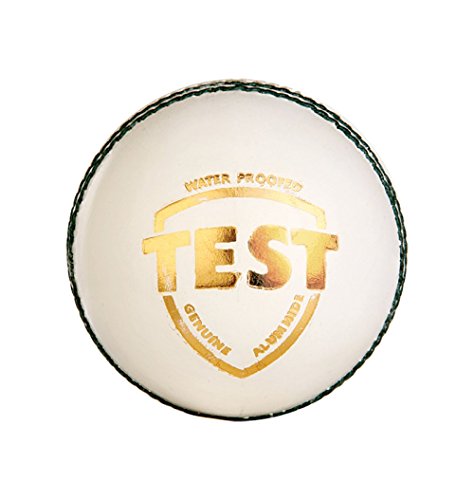 Image 1 of Default Title for the product SG Test Leather Cricket Ball (White)