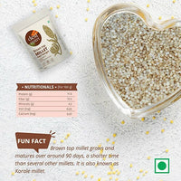 https://cdn.shopify.com/s/files/1/1857/6931/products/69p7kcgEWZ.jpg?v=1666330340