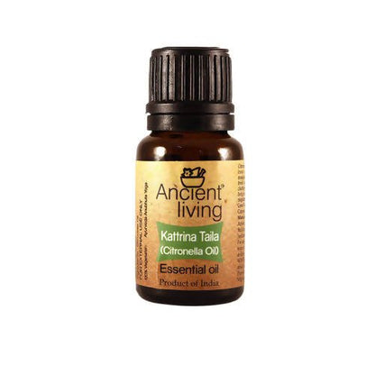 https://cdn.shopify.com/s/files/1/1857/6931/files/6AZ8fqQMFN-457716.jpg?v=1736147456