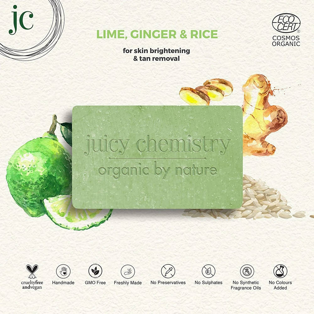 https://cdn.shopify.com/s/files/1/1857/6931/products/6EJe6JFISt.jpg?v=1627008175