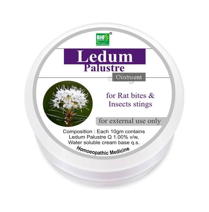 https://cdn.shopify.com/s/files/1/1857/6931/products/6FcGTRRZK7.jpg?v=1759265763