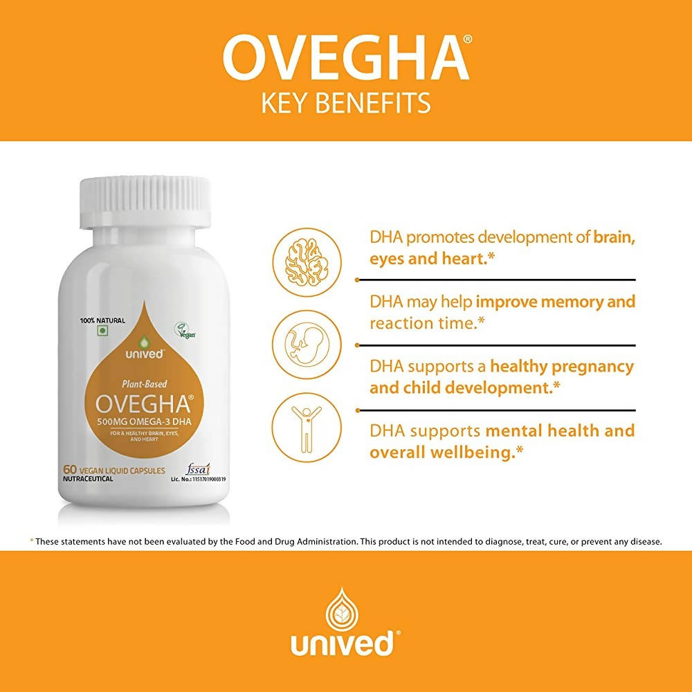 https://cdn.shopify.com/s/files/1/1857/6931/products/6GDlVdojqh.jpg?v=1648016350