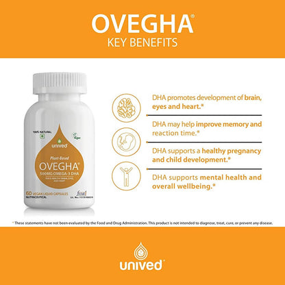 https://cdn.shopify.com/s/files/1/1857/6931/products/6GDlVdojqh.jpg?v=1648016350