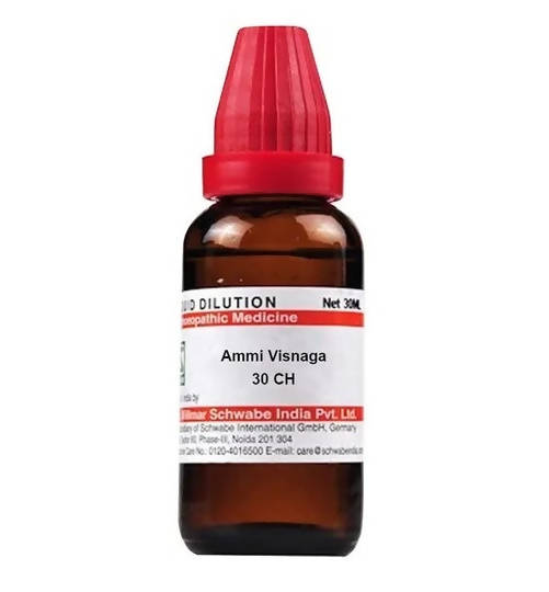https://cdn.shopify.com/s/files/1/1857/6931/products/6Hc78KiPHX.jpg?v=1640930452