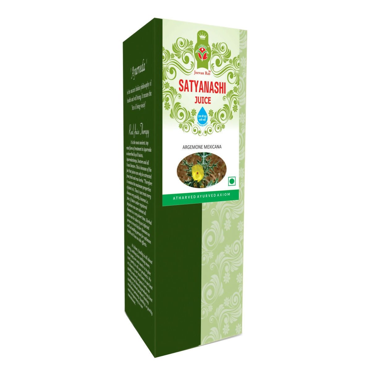 https://cdn.shopify.com/s/files/1/1857/6931/files/6Hk1bDIvpo-442586.jpg?v=1736150824