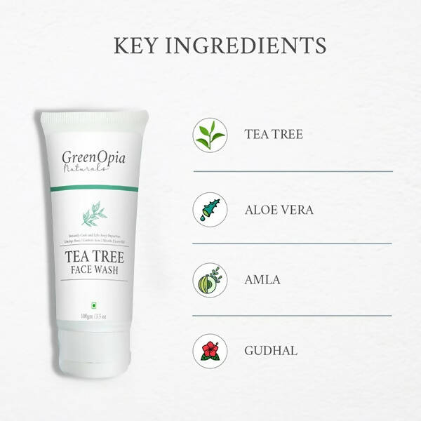 https://cdn.shopify.com/s/files/1/1857/6931/products/6IUqArBmQr.jpg?v=1663667245