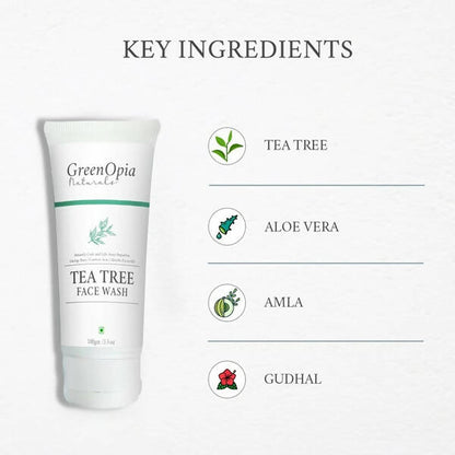 https://cdn.shopify.com/s/files/1/1857/6931/products/6IUqArBmQr.jpg?v=1663667245