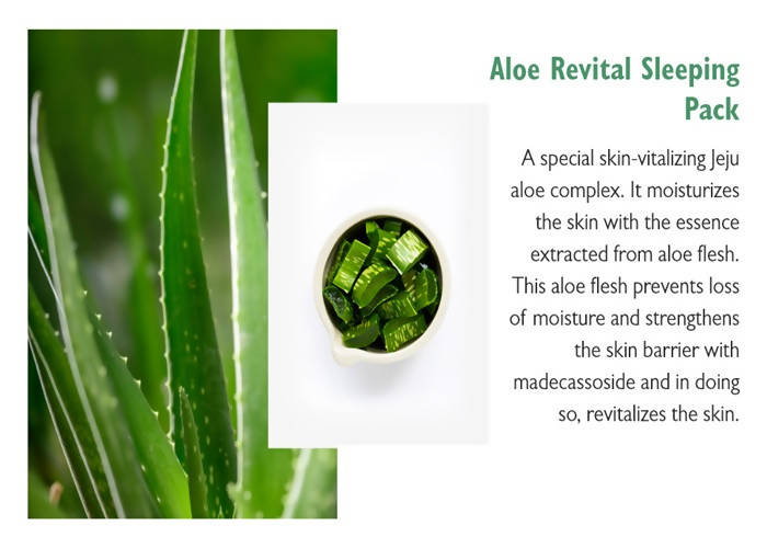 https://cdn.shopify.com/s/files/1/1857/6931/products/6KH4O3hnGz.jpg?v=1624725572
