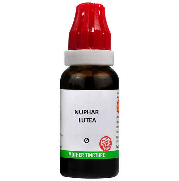 https://cdn.shopify.com/s/files/1/1857/6931/products/6KVnhQIyAz.jpg?v=1659160443