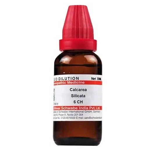 https://cdn.shopify.com/s/files/1/1857/6931/products/6L8L2J0GRn.jpg?v=1641359290