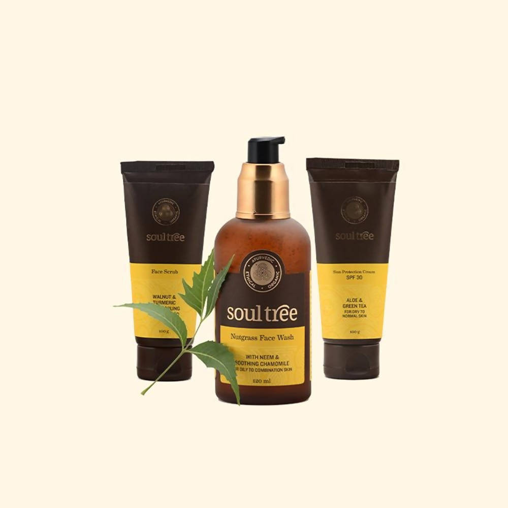 https://cdn.shopify.com/s/files/1/1857/6931/products/6NXDCjbTVs.jpg?v=1629980492