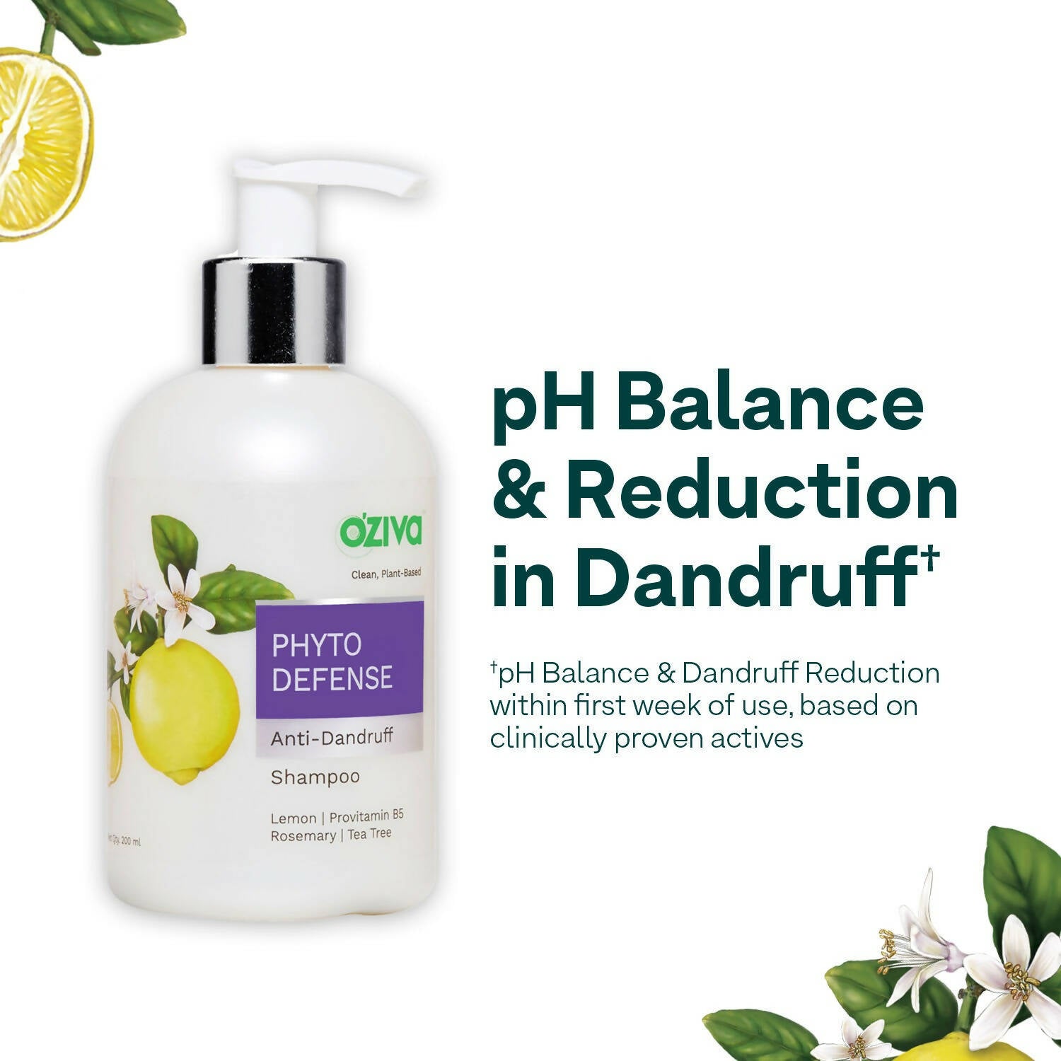 https://cdn.shopify.com/s/files/1/1857/6931/products/6R78Sisn9B.jpg?v=1695295178