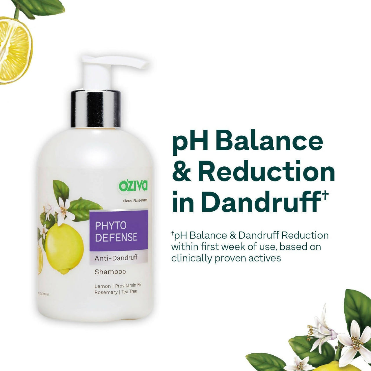 https://cdn.shopify.com/s/files/1/1857/6931/products/6R78Sisn9B.jpg?v=1695295178