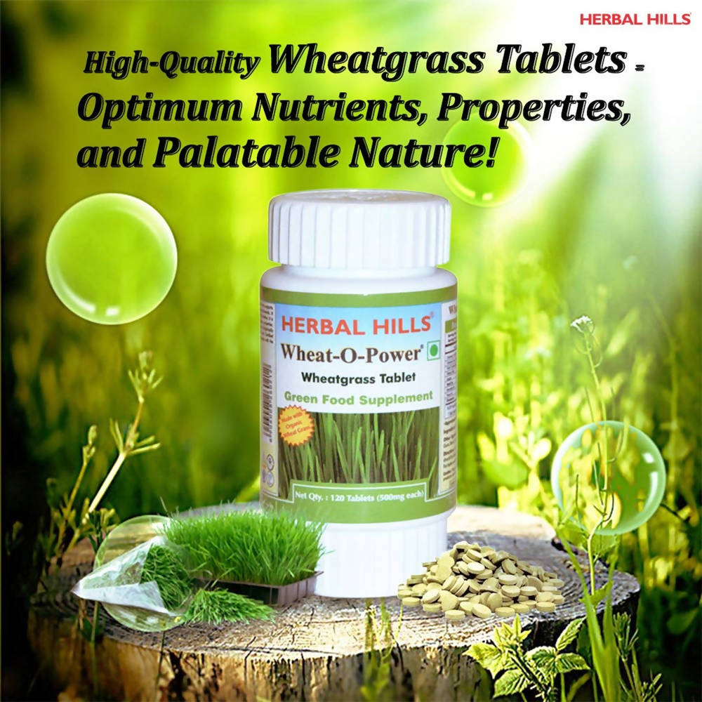 https://cdn.shopify.com/s/files/1/1857/6931/products/6S3ICuANr8.jpg?v=1625740908