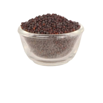 https://cdn.shopify.com/s/files/1/1857/6931/products/6SkIjdPJXt.jpg?v=1762282231