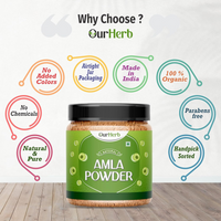 https://cdn.shopify.com/s/files/1/1857/6931/files/6U77XjLC9o.png?v=1727440079