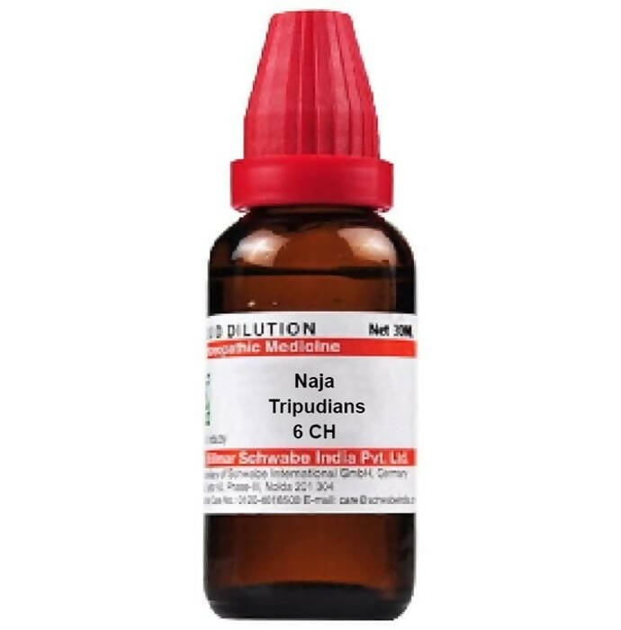 https://cdn.shopify.com/s/files/1/1857/6931/products/6UZKzplEy5.jpg?v=1710935696