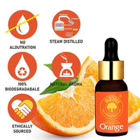 https://cdn.shopify.com/s/files/1/1857/6931/products/6VYslquwUa.jpg?v=1683719822