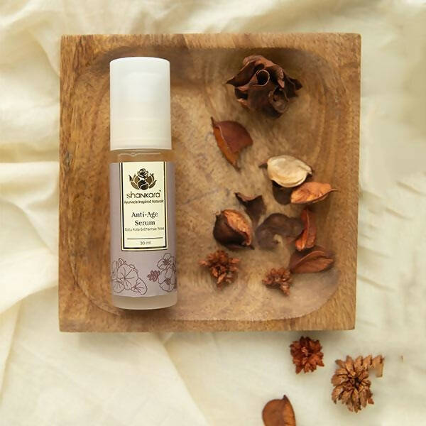 https://cdn.shopify.com/s/files/1/1857/6931/products/6VqZaVUyn1.jpg?v=1663655134
