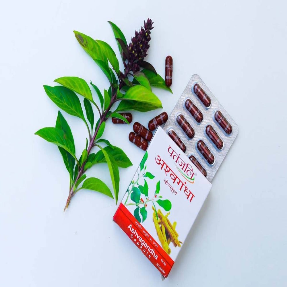 https://cdn.shopify.com/s/files/1/1857/6931/products/6WPxBEpGTN.jpg?v=1737617245