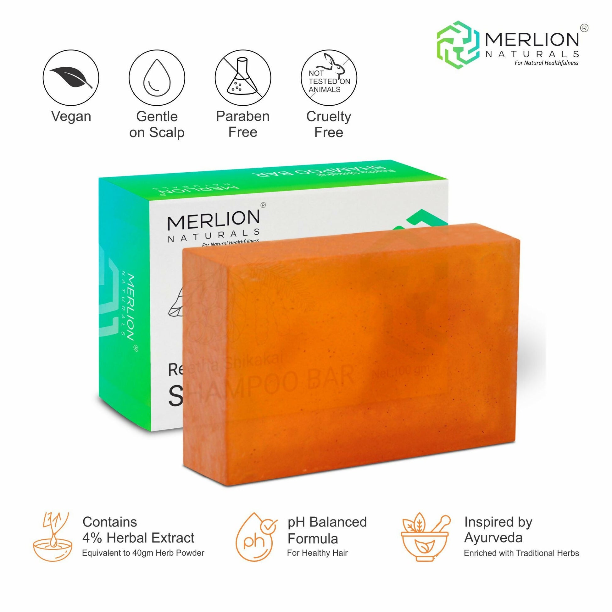 https://cdn.shopify.com/s/files/1/1857/6931/files/6WaHWNbijm.jpg?v=1741351644