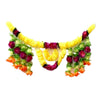 https://cdn.shopify.com/s/files/1/1857/6931/products/6Z1GiP2JiY.jpg?v=1759270019